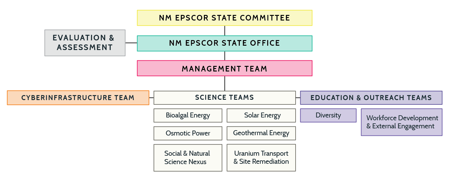 NMEPSCoR Structure