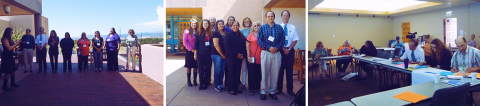  Faculty, Leadership and Professional Development Institute (FLPDI)